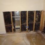 Mold Gone, LLC