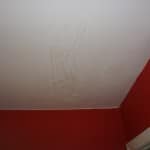 Mold Gone, LLC