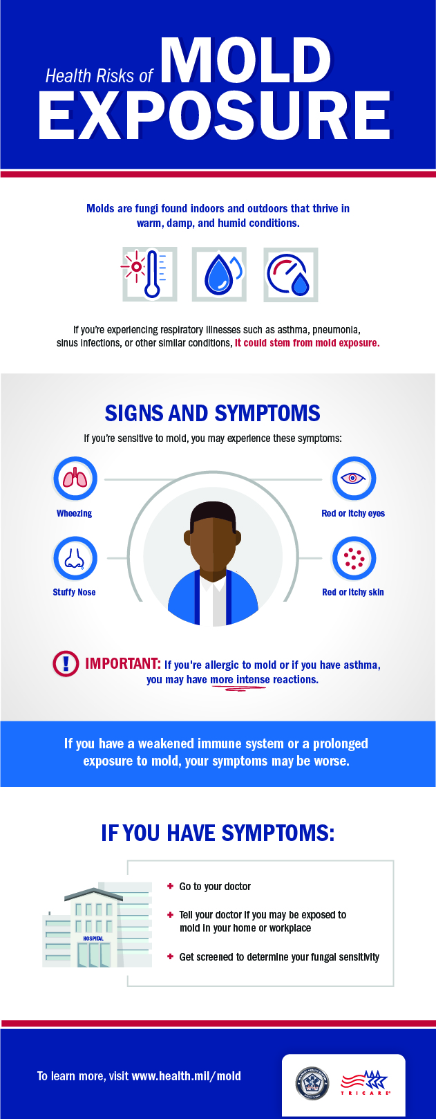 Mold Testing is a Bad Idea? How to decide if you should test.