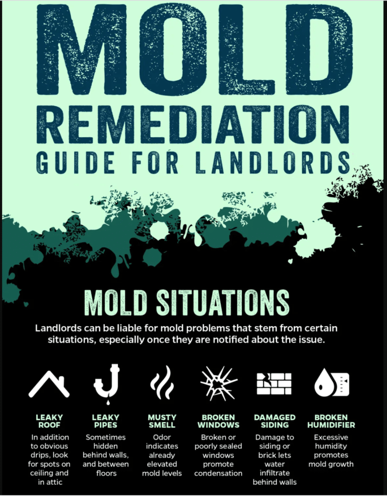 Mold In Rental House in Maryland Landlord Responsibilities