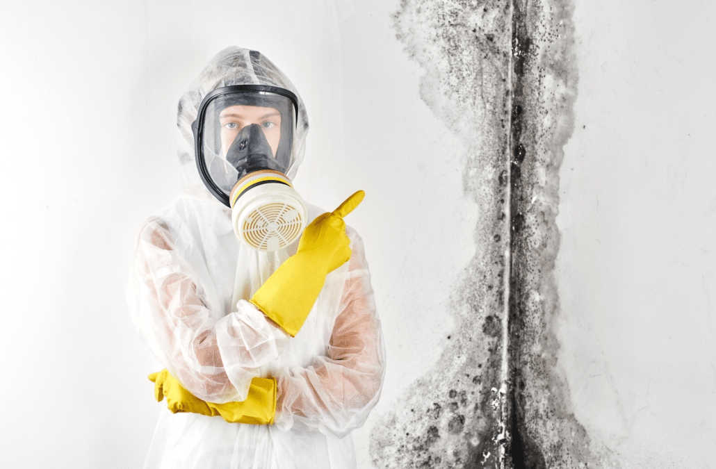 Top Five Biggest Mistakes Made During DIY Mold Remediation