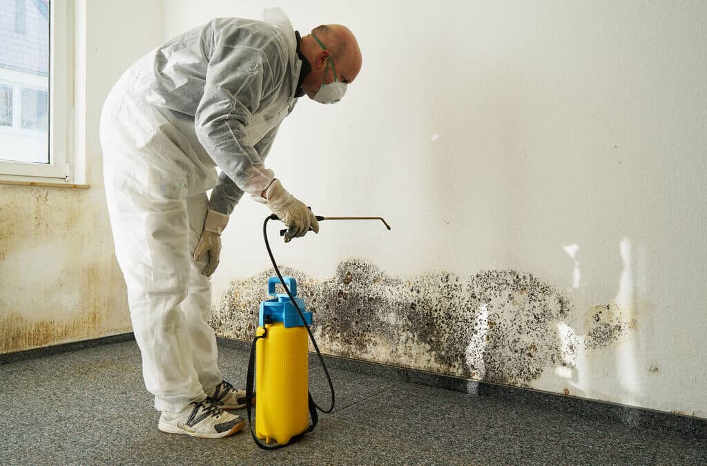 Mold in DC Workplaces: Symptoms, Testing, Inspection & Prevention